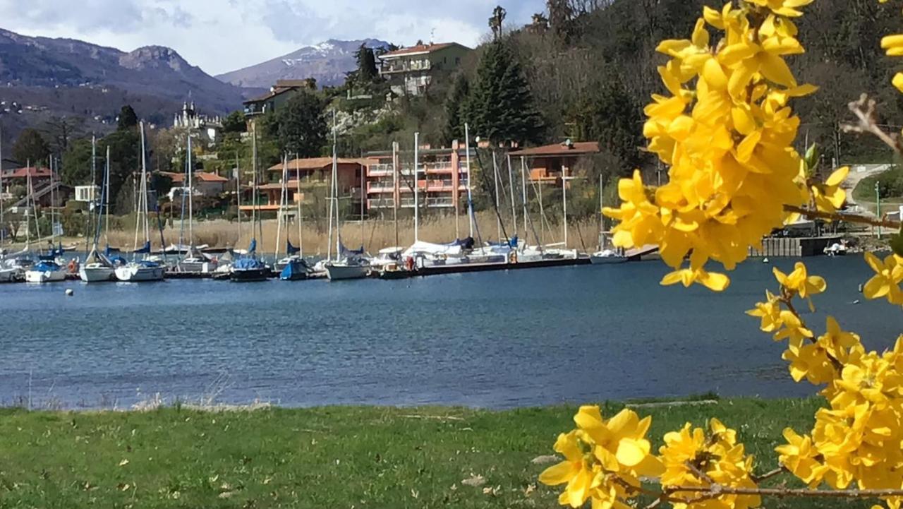 Villa Residenza 3 Magnolie Monvalle Esterno foto
